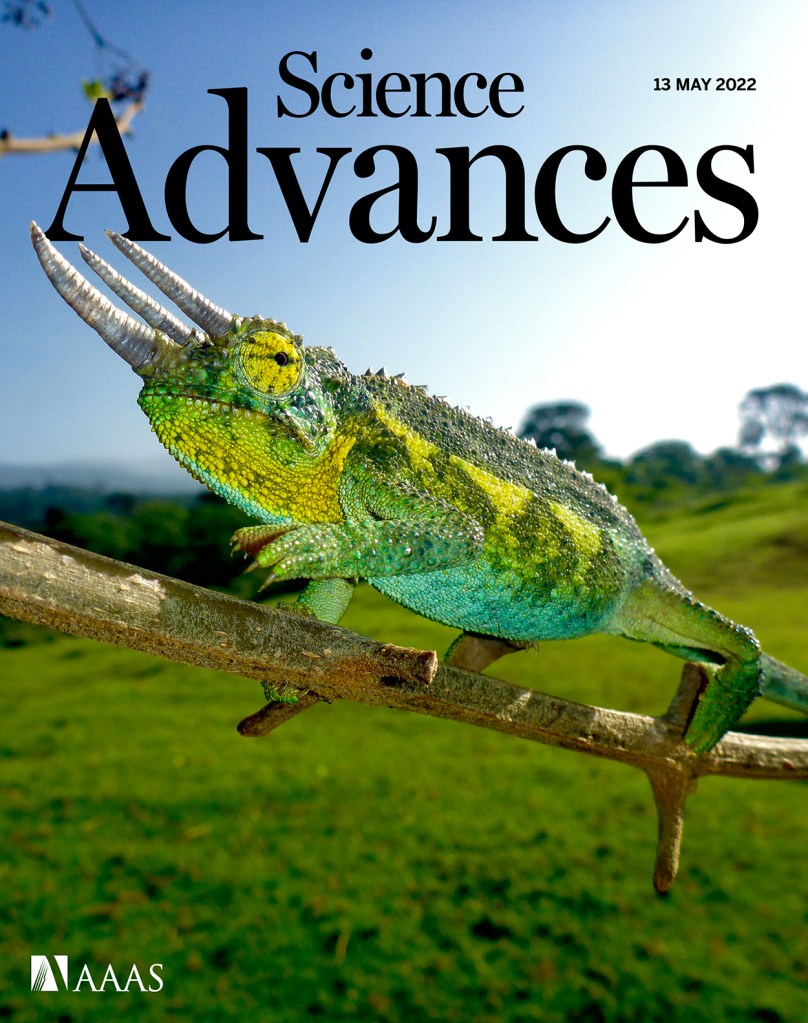 Publications | Stuart-Fox Lab | Devi Stuart-Fox